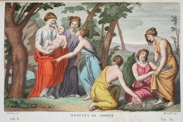 Die Geburt des Adonis, Buch X, Illustration aus Ovids Metamorphosen, Florenz, 1832